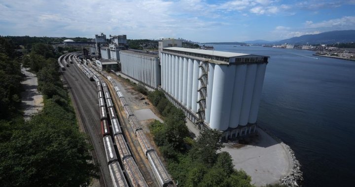 Tentative deal reached in Metro Vancouver grain strike: federal minister [Video]