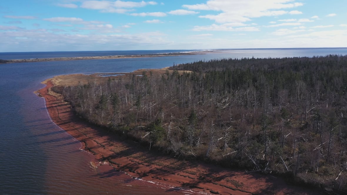 Meet the people working to protect and preserve Pituamkek on P.E.I. [Video]