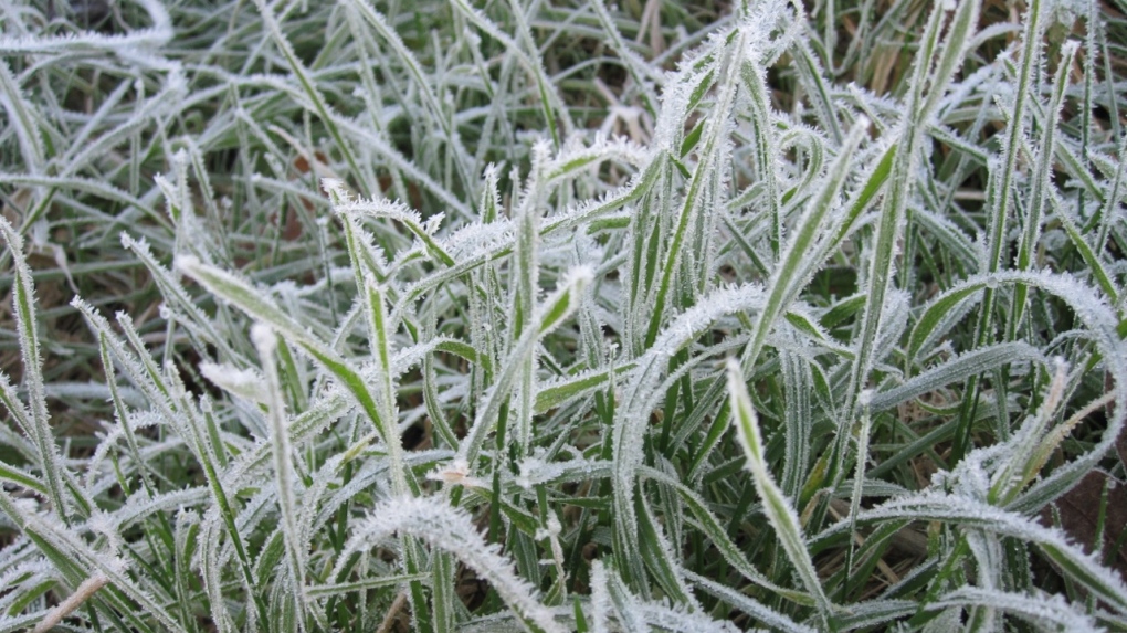 Saskatoon weather: Environment Canada says first frost coming overnight [Video]