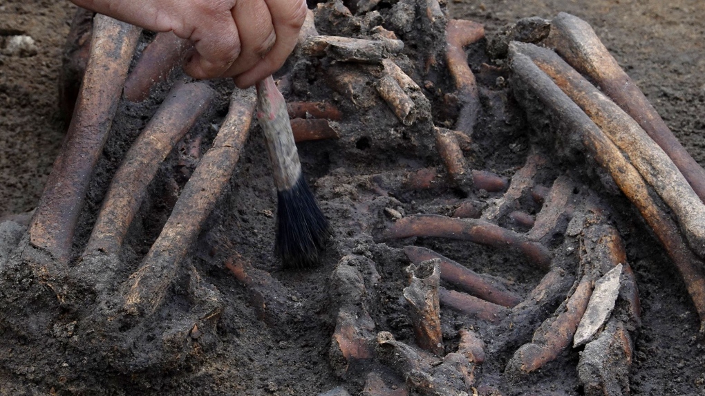 Viking skeletons found in Denmark [Video]