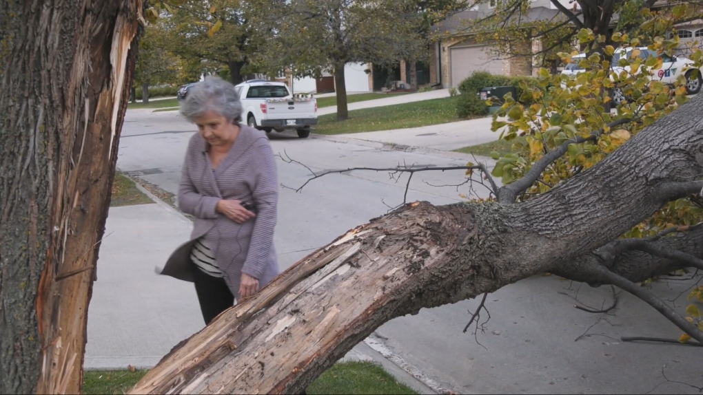 Manitoba weather: Strong winds hit Winnipeg over long weekend [Video]