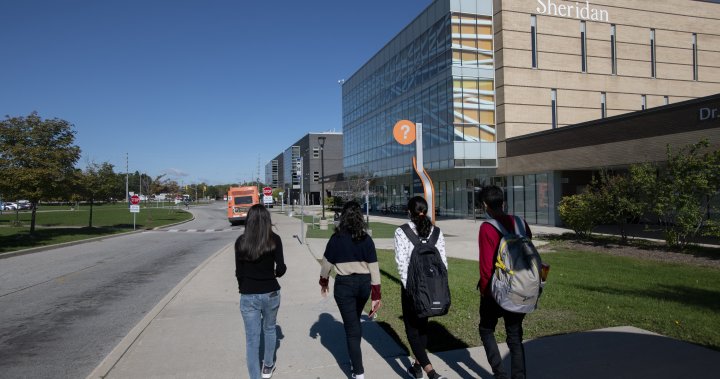 No more automatic visas for public college graduates jeopardizes economy: Colleges Ontario [Video]