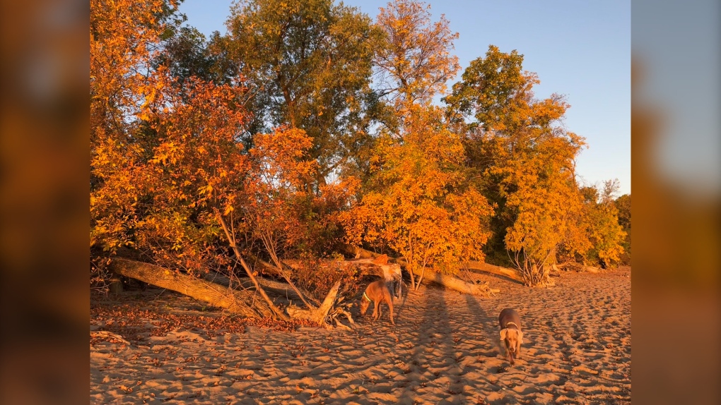 Manitoba weather: Fall is in the air [Video]