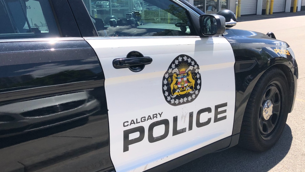 Calgary man charged in alleged Fish Creek Park sexual assault [Video]