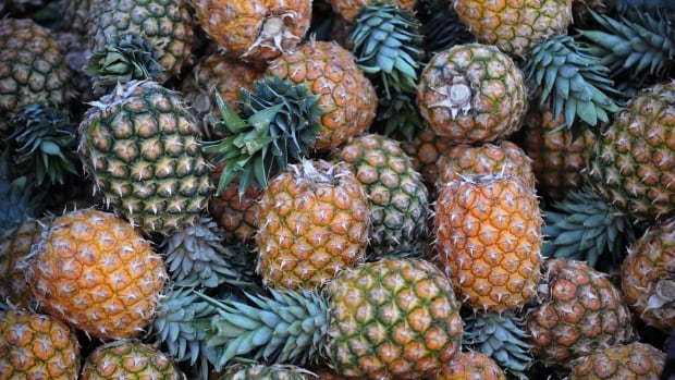 Pricier pineapples? Here’s how the U.S. port strike could impact your wallet [Video]