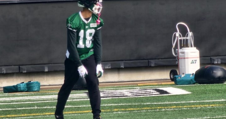 Saskatchewan Roughriders rookie receiver makes waves in CFL debut [Video]