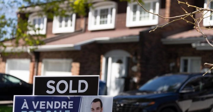 Montreal home sales rise 18 per cent in September from last year – Montreal [Video]