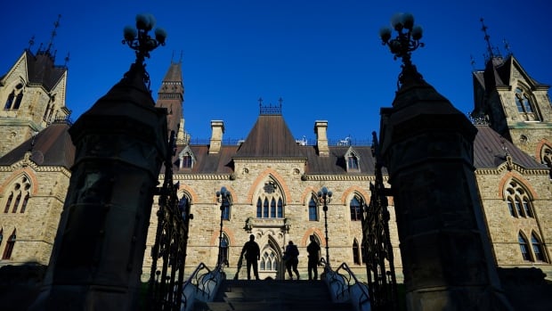 Ottawa police creating Parliament Hill unit following close calls with MPs [Video]