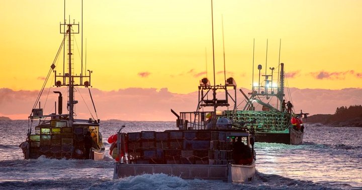 Federal fisheries officers refusing duties because of violence on the water in N.S. – Halifax [Video]