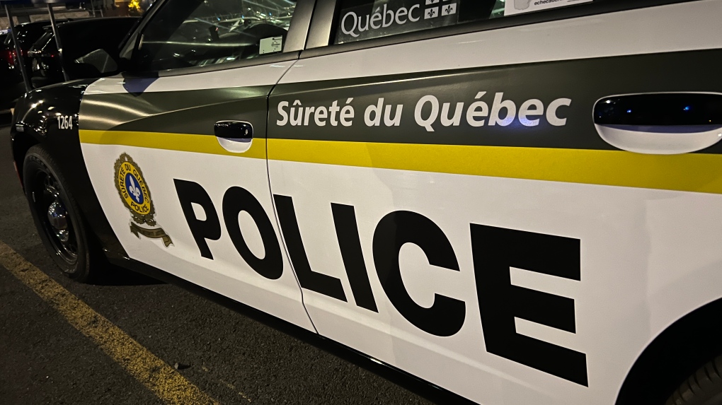 Quebec police seize drugs and guns in raids [Video]