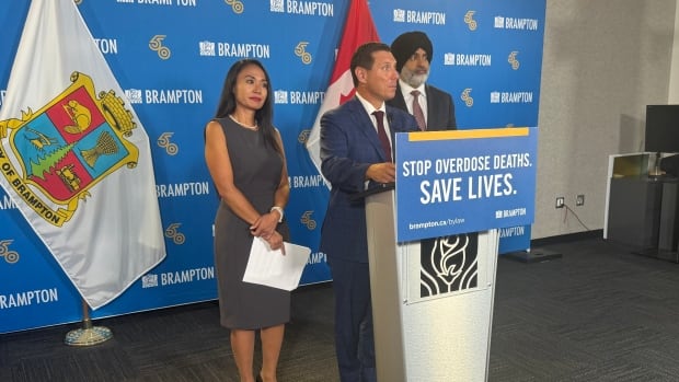 Brampton mulls forced treatment for addictions, mental health [Video]