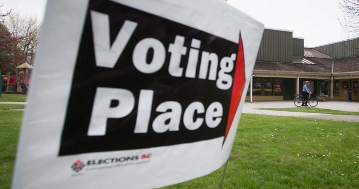 What the parties are promising in B.C.s election [Video]