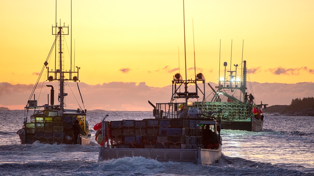 Fisheries: DFO concerned about violence, threats on the water [Video]