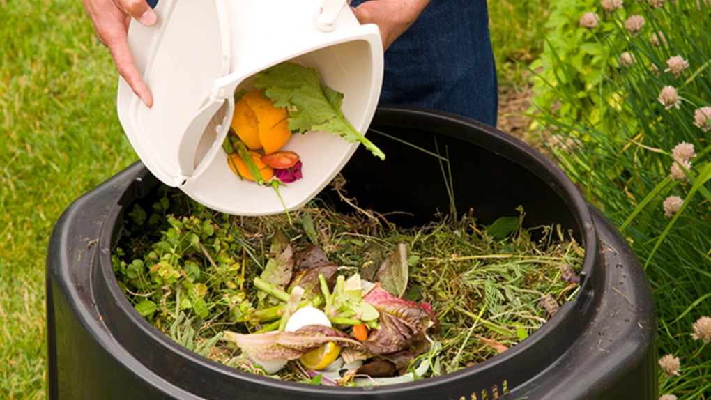 What you can compost at Winnipeg’s drop-off locations [Video]