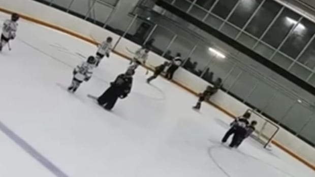 Parents and coach brawl at kids’ hockey tourney in Hamilton, prompting refs to halt game [Video]