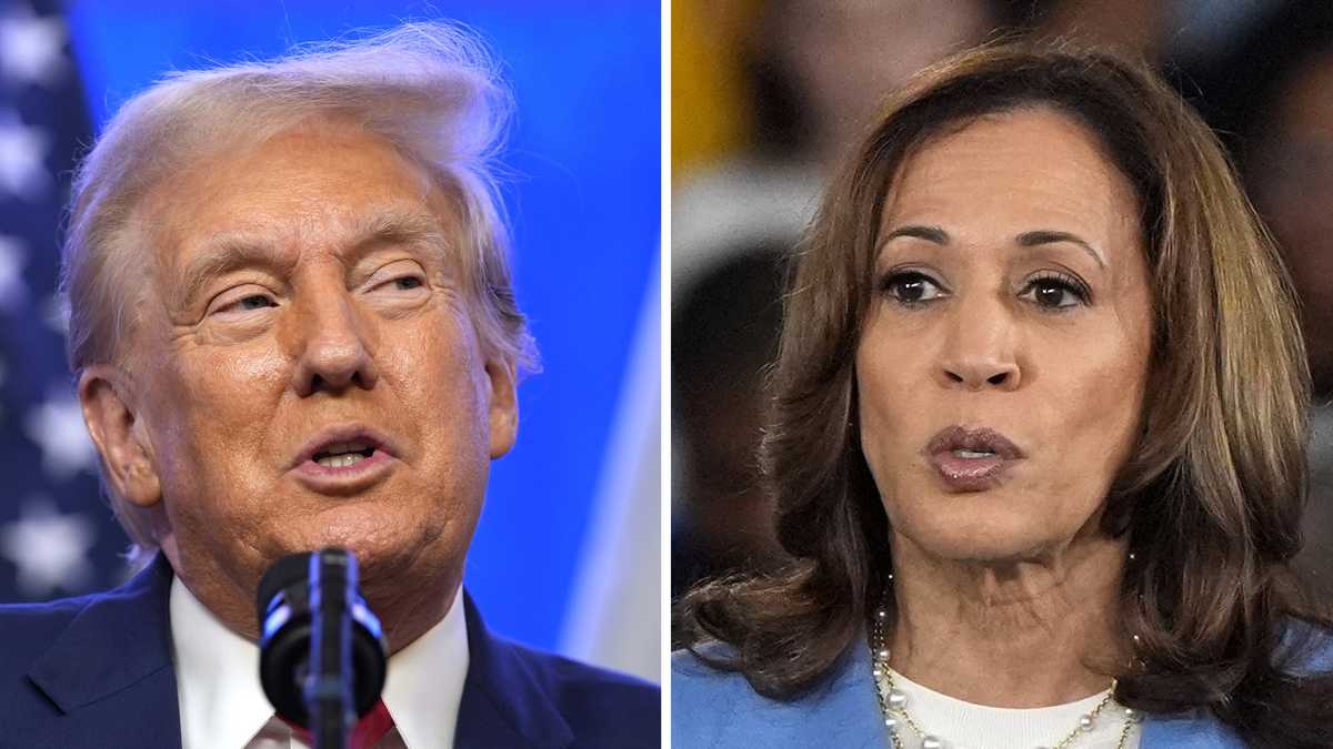 Trump makes false claims on FEMA funds, Harris appeals to Republicans [Video]