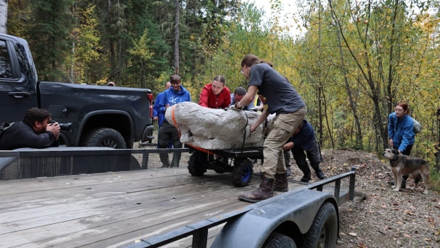 72 million-year-old dinosaur skull discovered near Grande Prairie [Video]