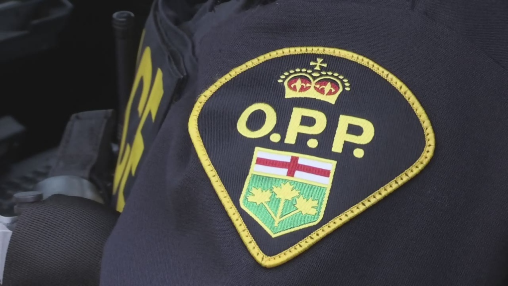 Wolfe Island, Kingston home invasions might be linked: police [Video]