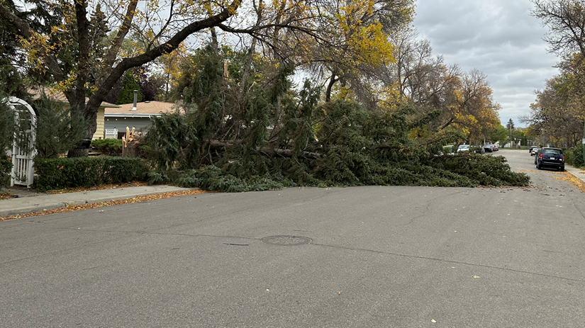 Regina weather: Wind warnings in place for Sask., gusts up to 100 km/h possible [Video]