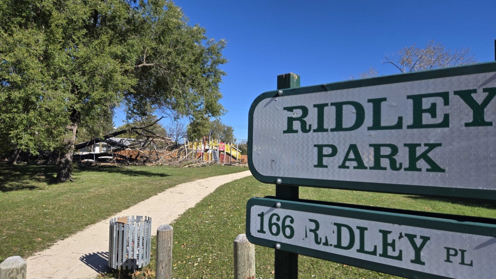 Severe winds wreak havoc on southern Manitoba [Video]