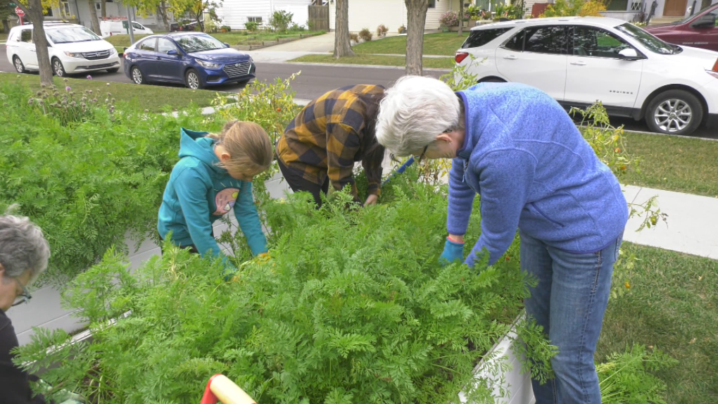 Fall garden harvesting tips on preserving or donating extra food [Video]