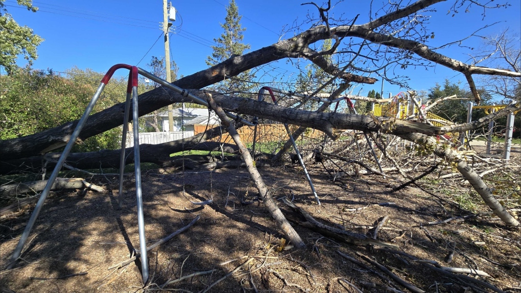 Manitoba weather: Power restored following weekend windstorm [Video]