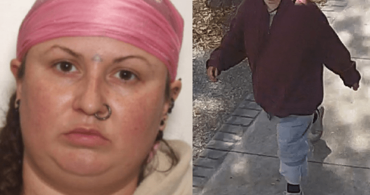 Ontario police are calling her a serial killer. What we know so far [Video]