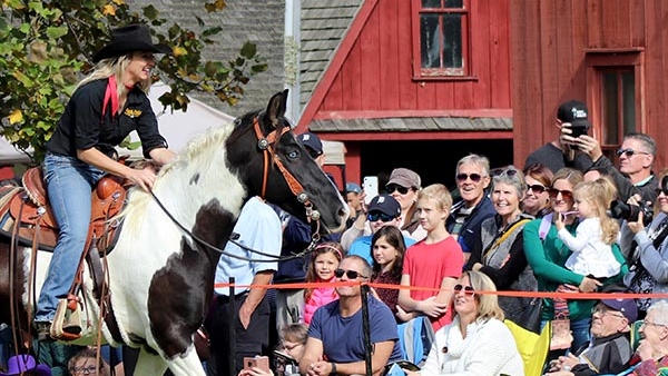 Fall is here! Harvest and Horses Festival returns [Video]