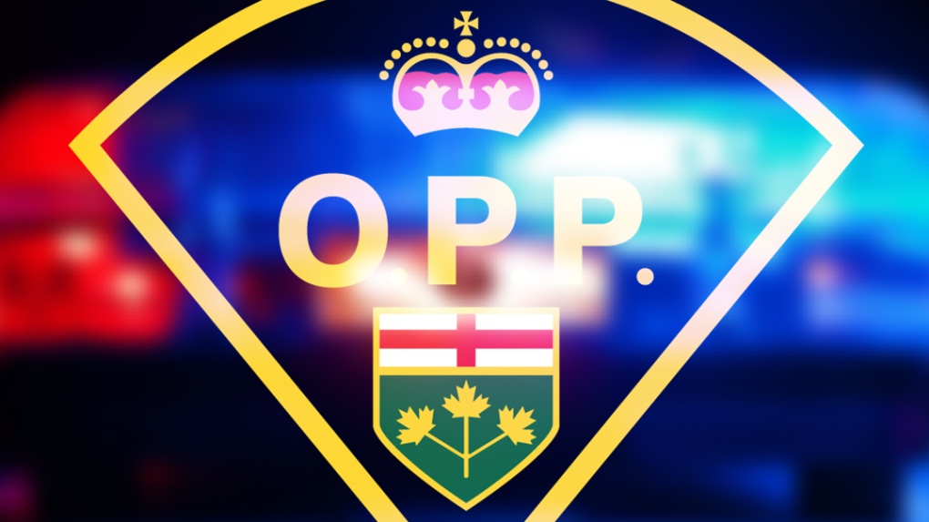 Several charges laid as Leamington OPP focus on Robson Road [Video]