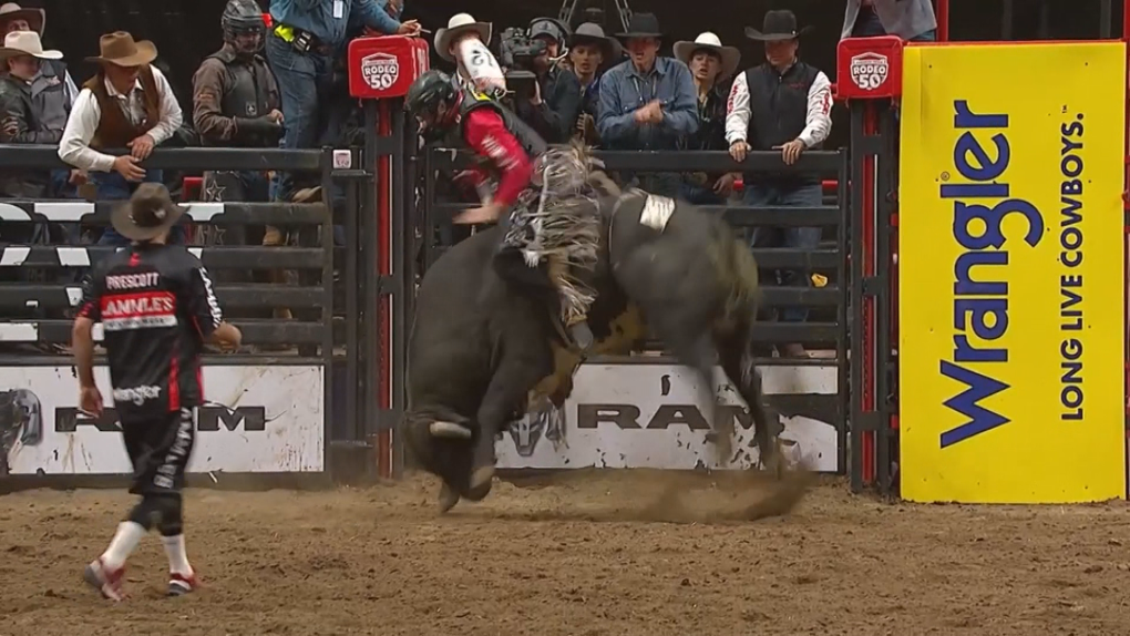 Canadian Finals Rodeo in Edmonton draws 42,000 people [Video]