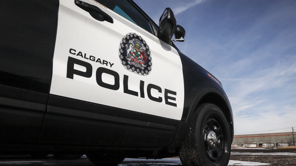 Calgary police seek victim in random sexual assault [Video]