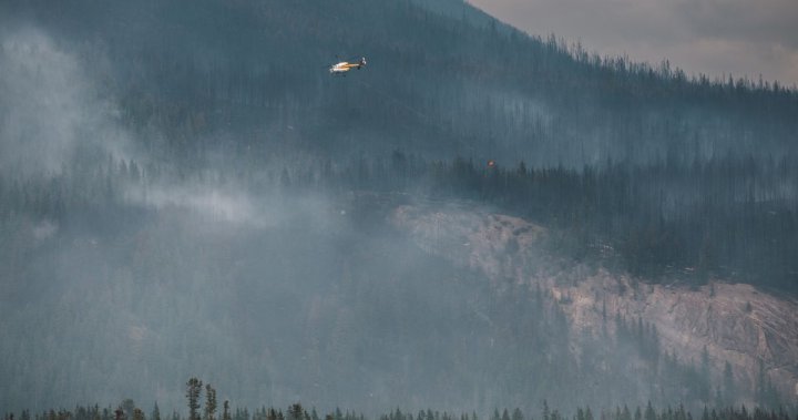 Jasper wildfire: Alberta minister urges improved unified command structure [Video]