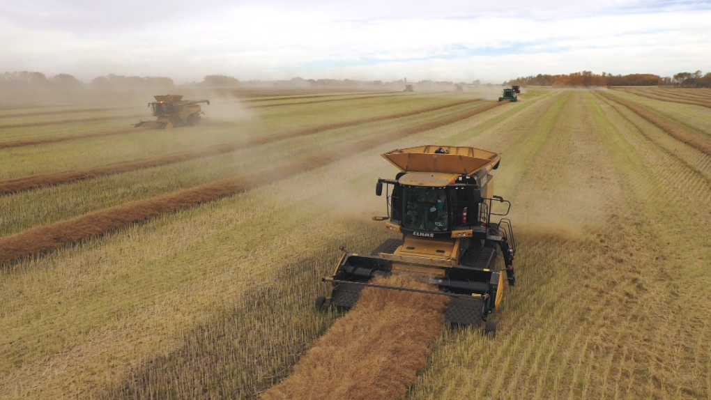 Alberta farmers combining efforts to feed those in need [Video]