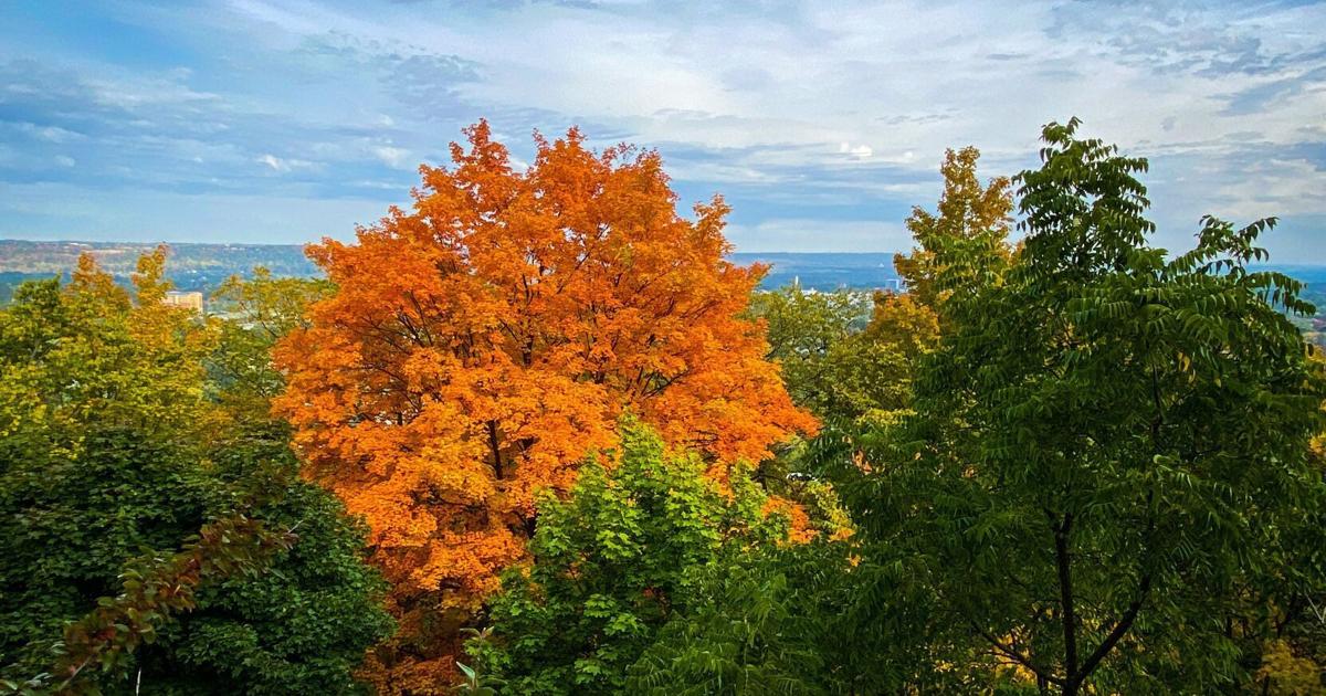 Hamiltons best views for fall colours [Video]