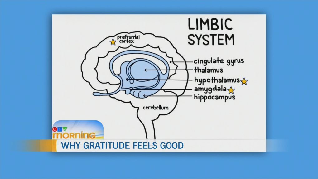 Verbally expressing gratitude helps lower stress [Video]