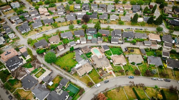 How B.C. NDP housing policies could hurt its election chances [Video]