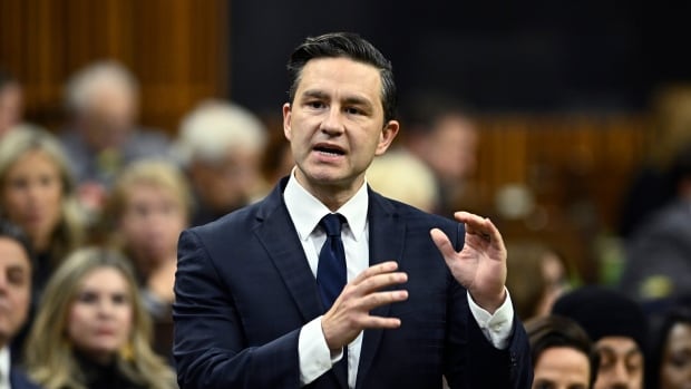 Poilievre says he supports involuntary addiction treatment for minors, prisoners [Video]