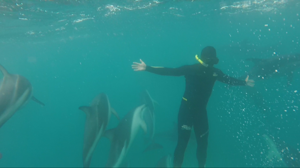 B.C. man’s childhood friendship with dolphin inspires career [Video]