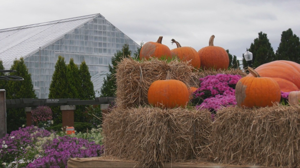 Montreal’s Botanical Gardens getting makeover ahead of its 100th anniversary [Video]