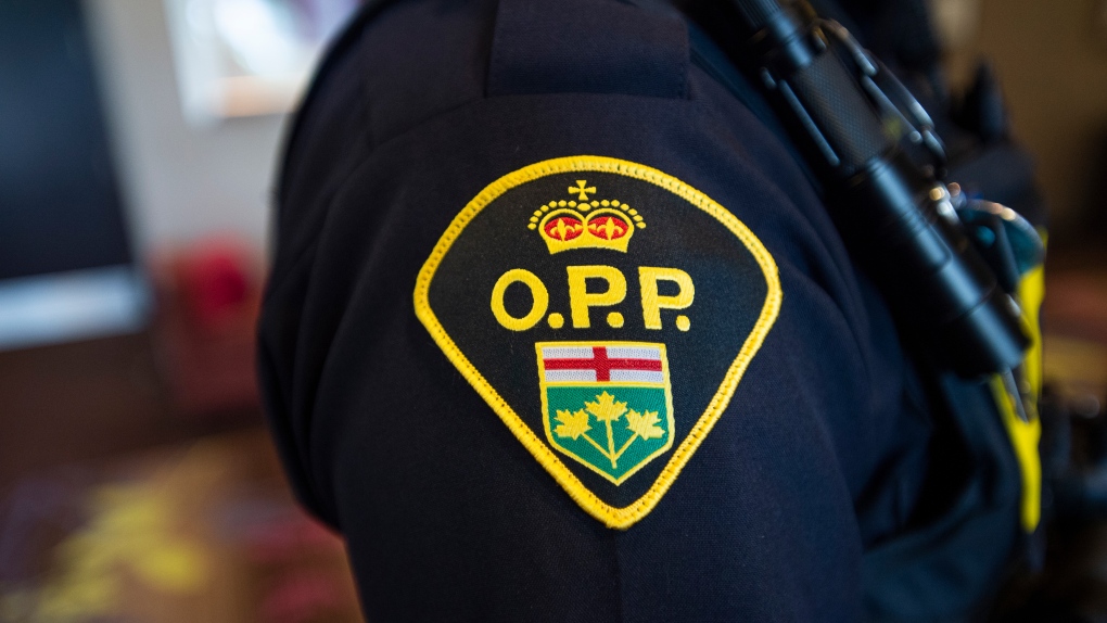 Ontario grandparent scam: another suspect arrested [Video]