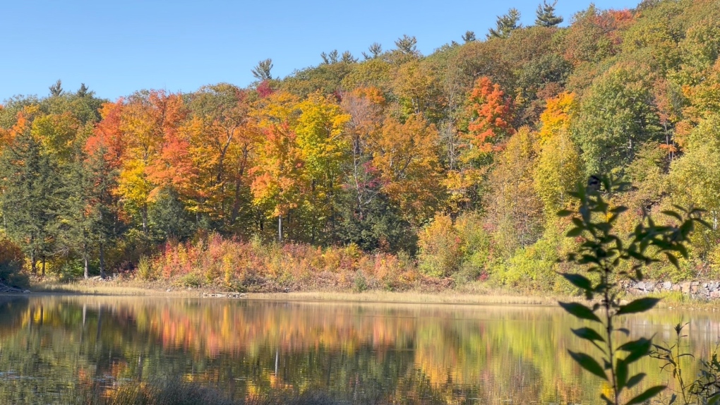 Ottawa Tourism: Things to do in Ottawa over the Thanksgiving weekend [Video]