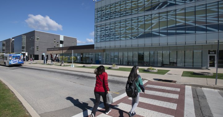 Cap hammers international student enrolment as Ontario colleges brace for more changes [Video]