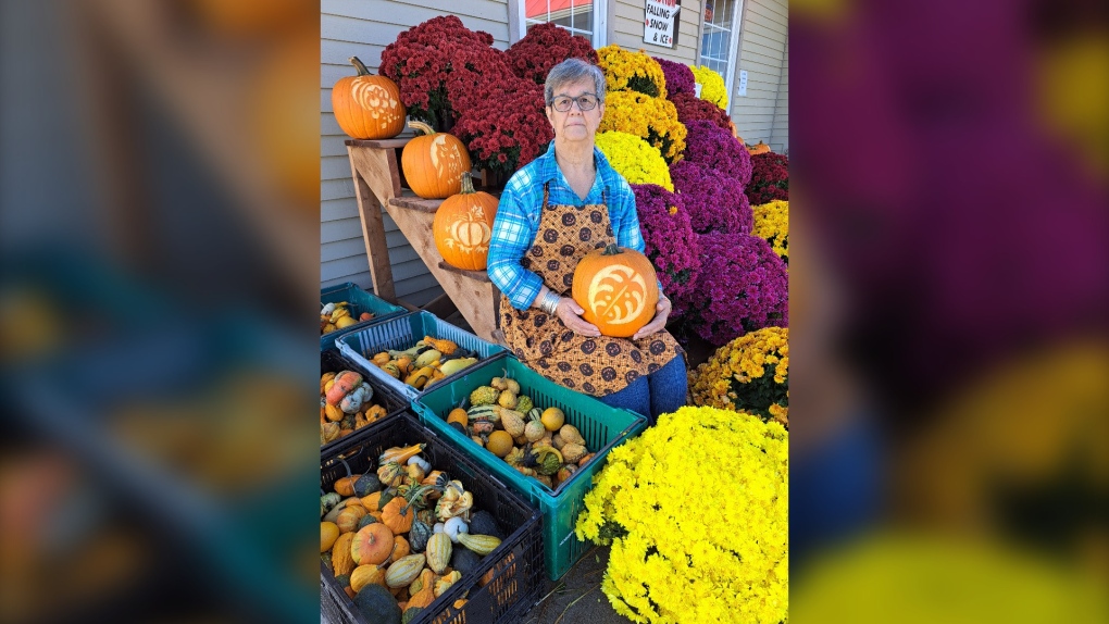 N.S. news: Hantsport woman raising money through sculpting pumpkins [Video]