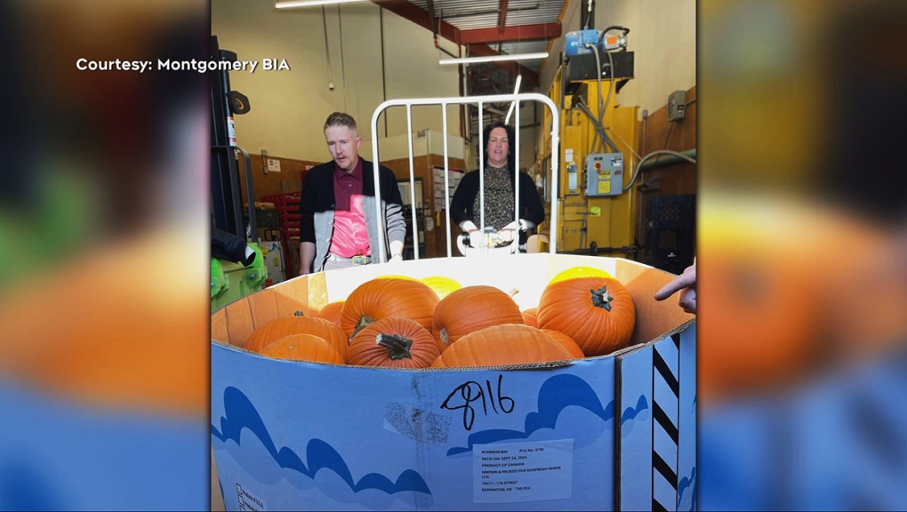 Calgary community offering Saturday pumpkin giveaway [Video]