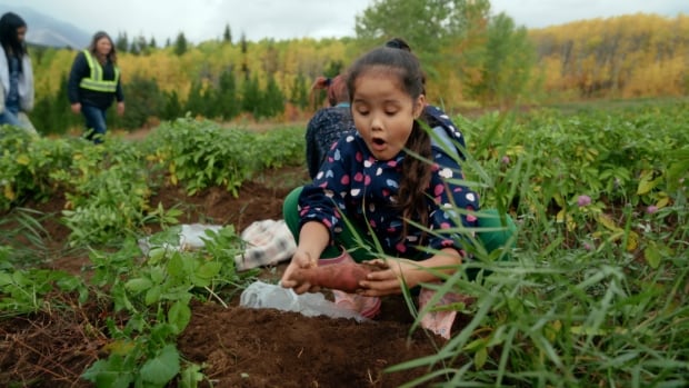 New documentary explores Indigenous-led farming in northern B.C. [Video]