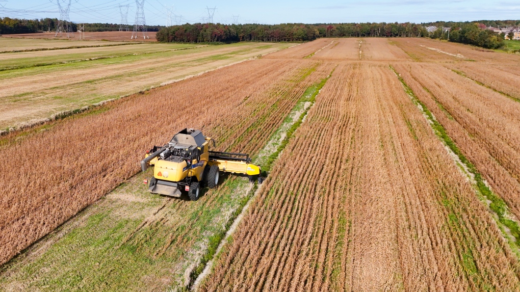 Quebec women farmers struggle with mental overload [Video]