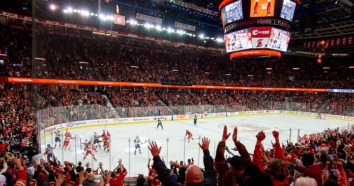 Flames fans, Calgary businesses all looking forward to a fresh NHL season [Video]