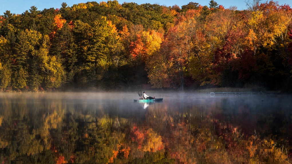 Fall in Ontario: Warmer temperatures lead to duller autumn colours [Video]