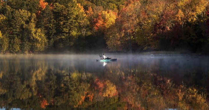 Duller fall colours in Ontario after warmer than normal temperatures [Video]