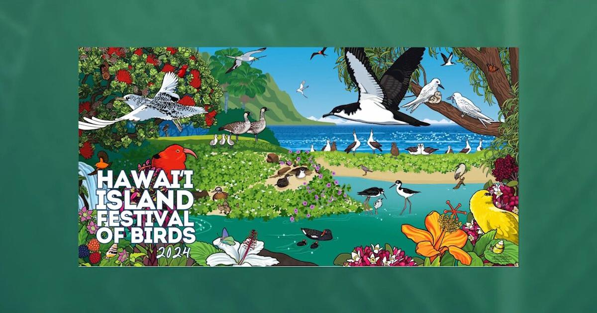 2024 Hawaii Island Festival of Birds | Island Life Live [Video]